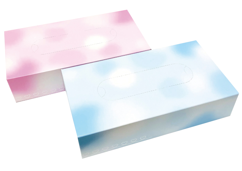 フェイシャルティッシュ 【200枚(100組)】 フェイシャルティッシュ<br />
【200枚(100組)】